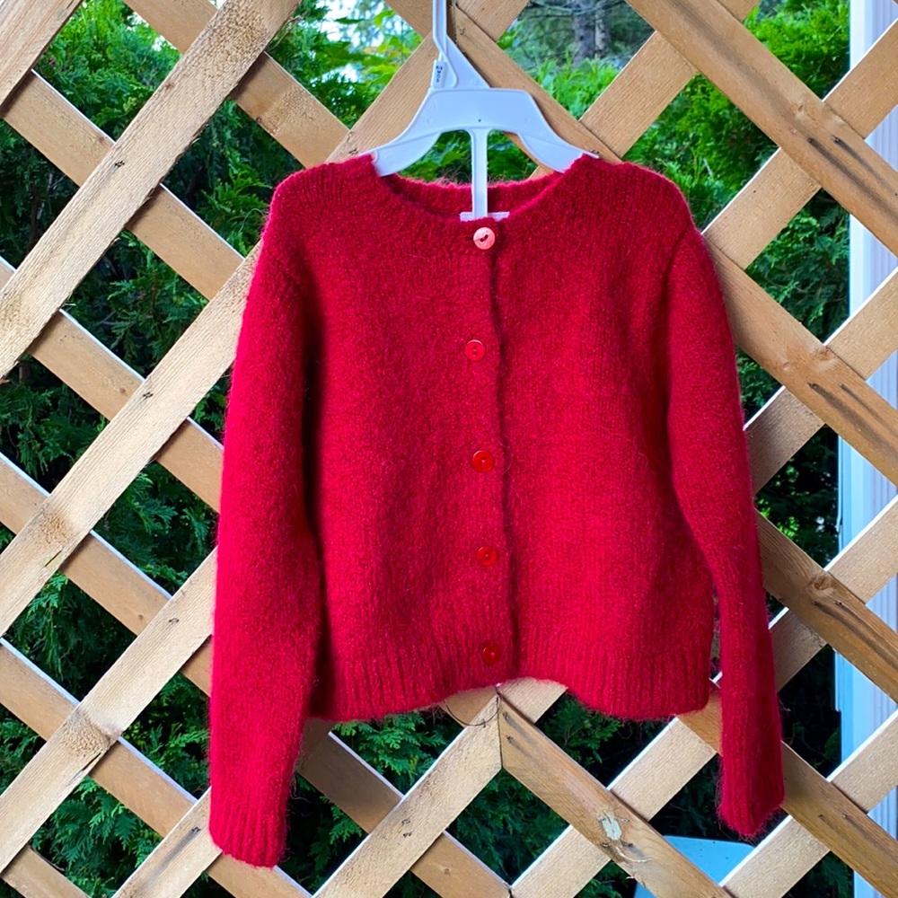 Zara Cardigan